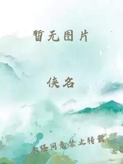 拿破仑的丁丁