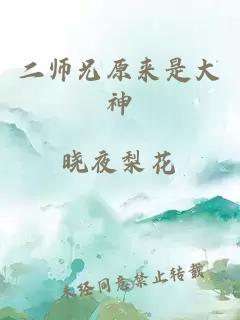 二师兄原来是大神