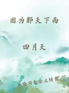 因为那天下雨