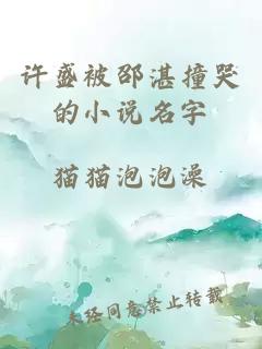 许盛被邵湛撞哭的小说名字