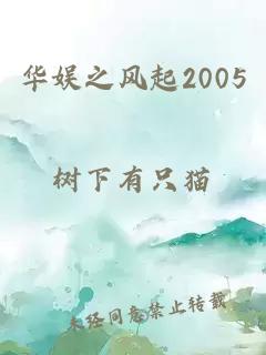 华娱之风起2005