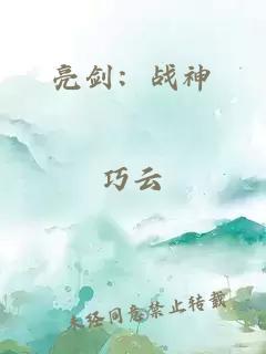 亮剑：战神