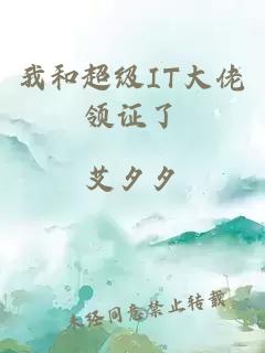 我和超级IT大佬领证了