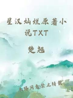 星汉灿烂原著小说TXT